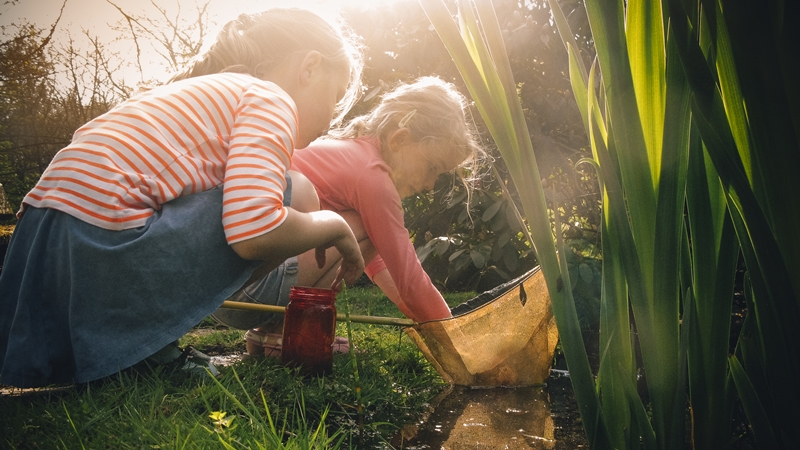 Two young girls explore a garden pond with a net and jar, surrounded by tall plants, as sunlight filters through the trees