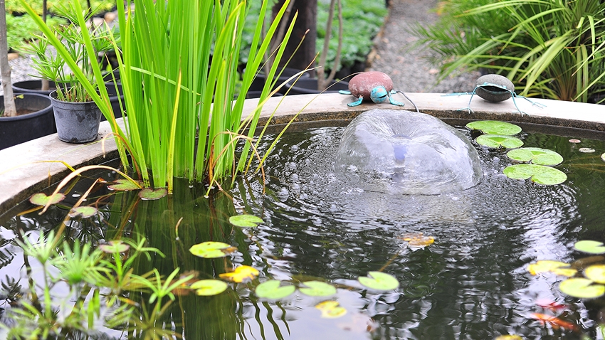 A small garden pond with a bubbling water feature, surrounded by aquatic plants, lily pads, and decorative stone ornaments