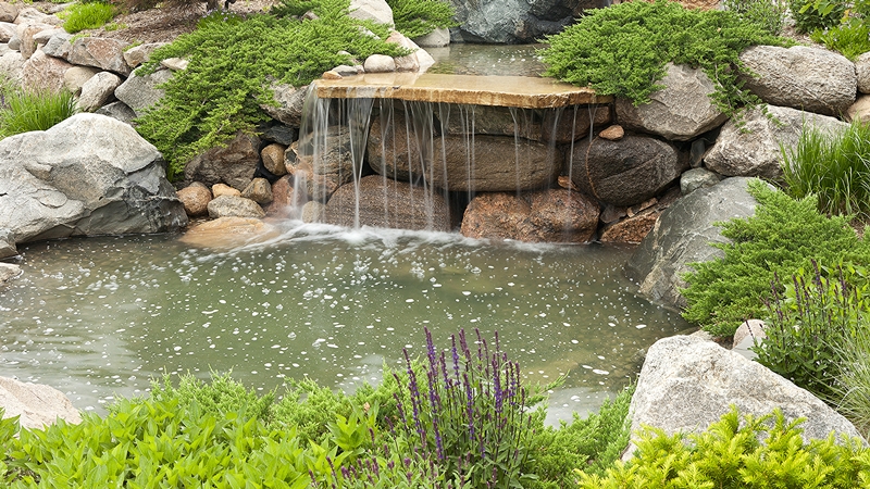 A landscaped garden pond with a stone waterfall, surrounded by lush greenery and rocks