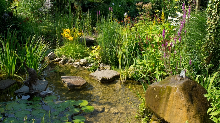 A natural wildlife pond with clear water, aquatic plants, lily pads, and vibrant wildflowers in a lush garden setting