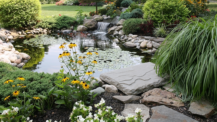 A landscaped garden pond with a small waterfall, lily pads, and surrounding plants creating a peaceful outdoor space
