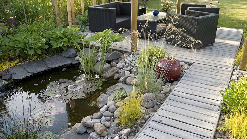A modern garden pond with aquatic plants, a wooden walkway, and an outdoor seating area, creating a relaxing space