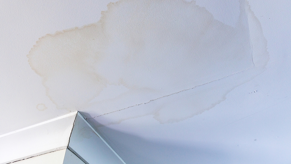 Ceiling with brown water staining and a long crack caused by leaks around the chimney and flashing.